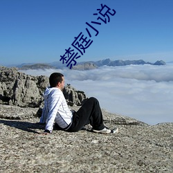 禁庭小說