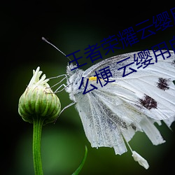 尊龙凯时人生就是搏(中国区)官方网站