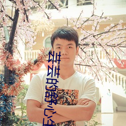 芸芸的舒心生活