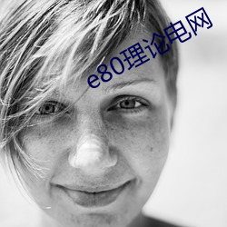 e80理論電網