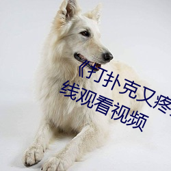 ��打扑克又疼又叫哔哩哔哩(l��)原声��在线观看(kàn)视频