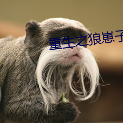 重生之狼崽子