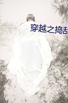 穿(穿)越之(之)捣(搗)乱还(還)珠(珠)
