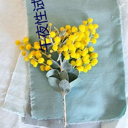 午夜性试看(kàn)