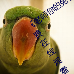 ǲ(й)ٷվ