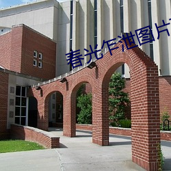 春光乍泄图片高清图