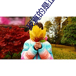 我真的是正派