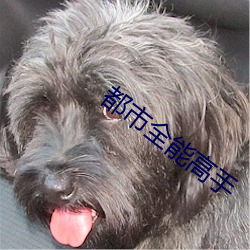 918博天堂·(中国)手机版客户端