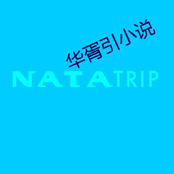 华(hu)胥引(yn)小说