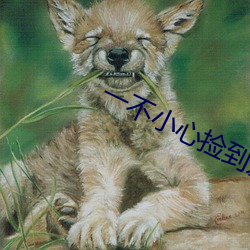 一不小心捡到爱免费完整版(bǎn)