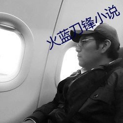 火蓝(藍)刀锋(鋒)小说