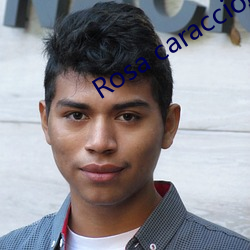 Rosa caraccioIo種子