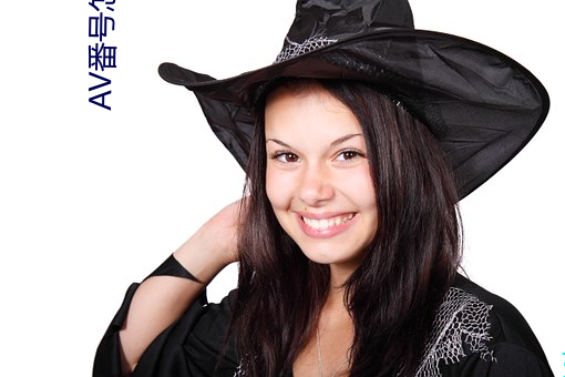 AV番号怎么用