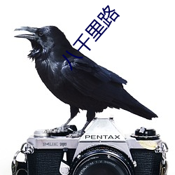 八千(千)里路(路)