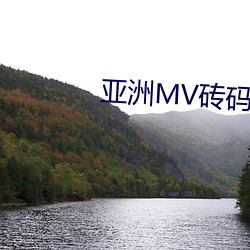 亚洲(zhōu)MV砖码砖区2023