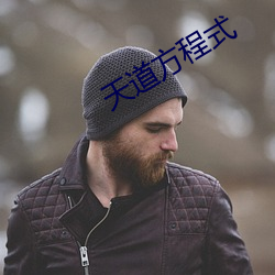 天道方程式