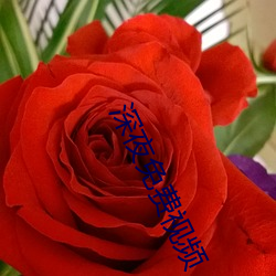 深夜(夜)免费(費)视频