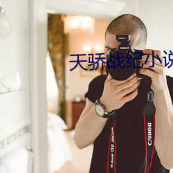 天骄战纪小说