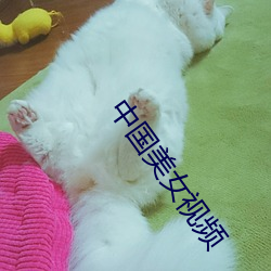 中国美(měi)女视频