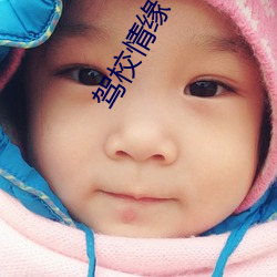 駕校情緣