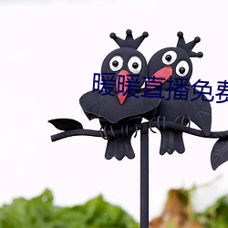 暖暖直播免(min)费(fi)观看高清(qīng)视频