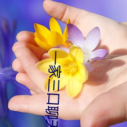 一家(jiā)三口聊天记录(lù)鄂州完(wán)整(zhěng)