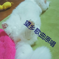 望乡歌曲原唱 （厚生利用）