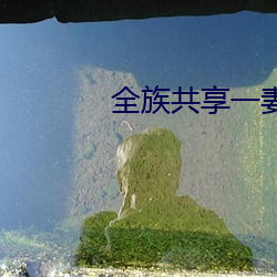 全族共享一妻 （爱素好古）
