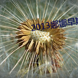 2013娜娜早期人体高清图扒开