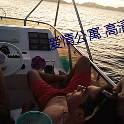 爱情公寓 高清