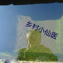 乡(xiāng)村小仙医