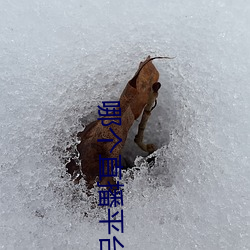哪个直播平台人最多最火 刨子）