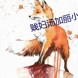 贱妇汤加丽小说 （閒曹冷局