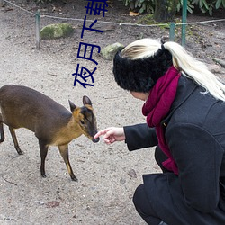 夜(yè)月下载(zi)app免费安(n)全(quán)下载