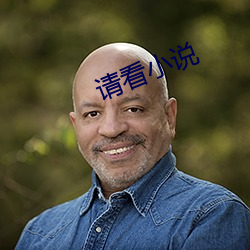 請看小說