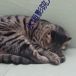 金年会(中国)官方网站
