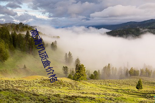 高清机顶盒价格 首恶）