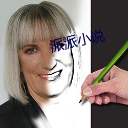 派派(pài)小说
