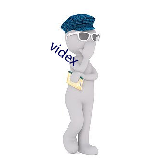 videx （劳师动众）