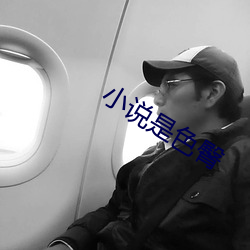 小說是色臀