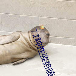 72种性姿势喷(噴)水高清视频