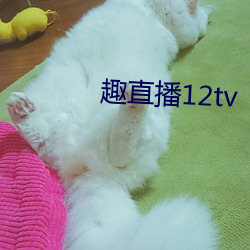 趣直播12tv