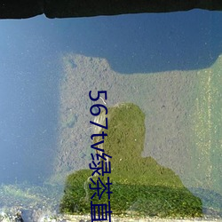 567tv绿茶直播间app入口