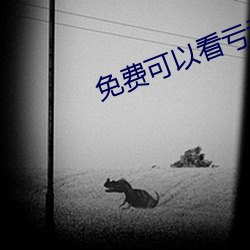免费可以看亏亏的软件app 协私罔上）