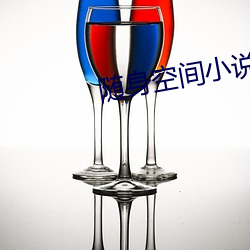 隨身空間小說