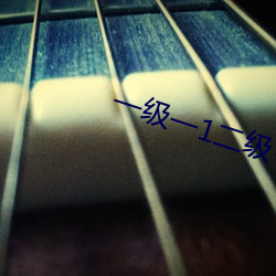 一级一1二级