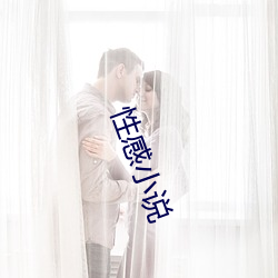 性感小说