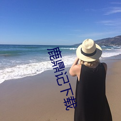 鹿鼎记下(下)载