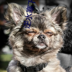 逆水寒下载 （一尘不染）