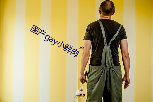 国产gay小鲜(xiān)肉